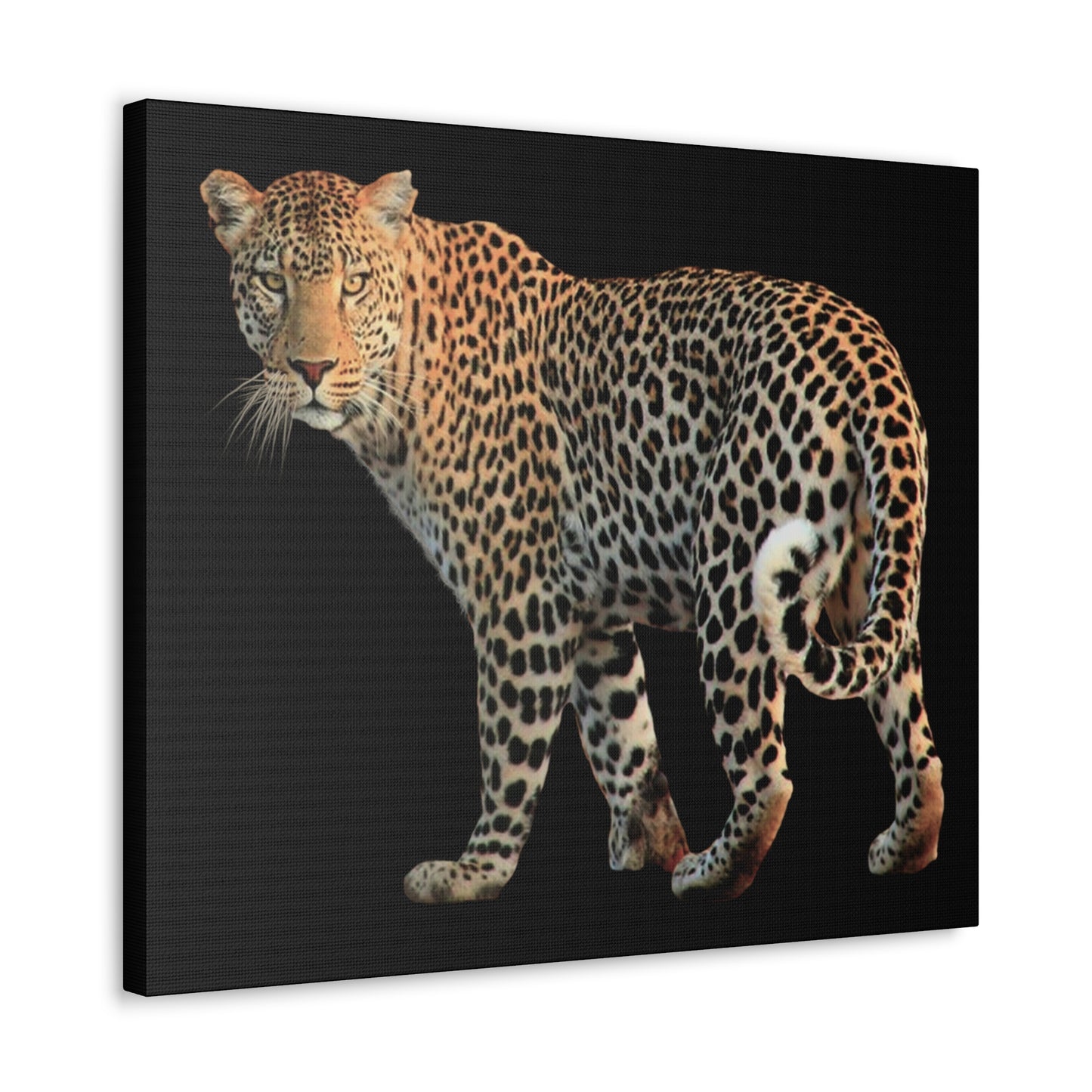 Leopard Canvas Wall Art