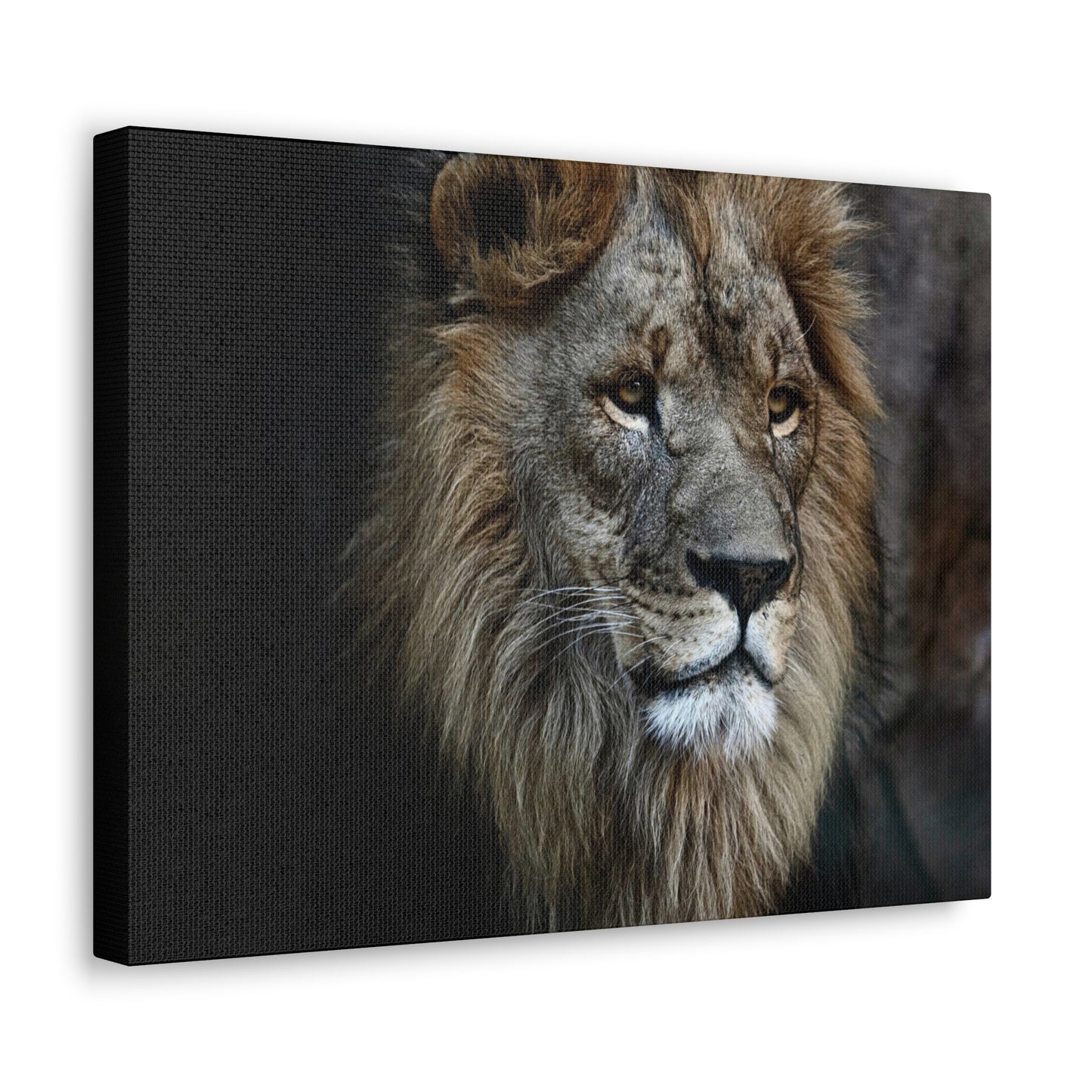 Lion Canvas Wall Art