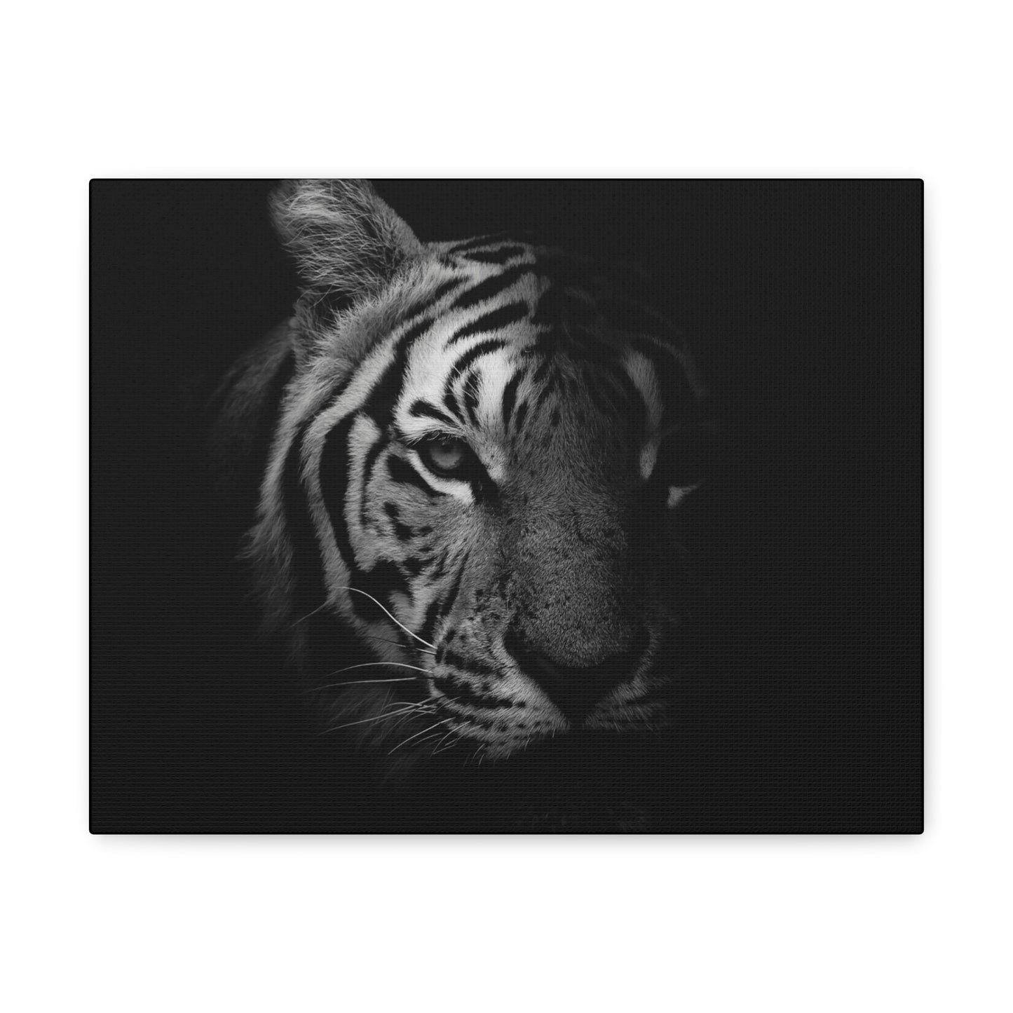 50 Stripes of Gray Tiger Canvas Wall Art