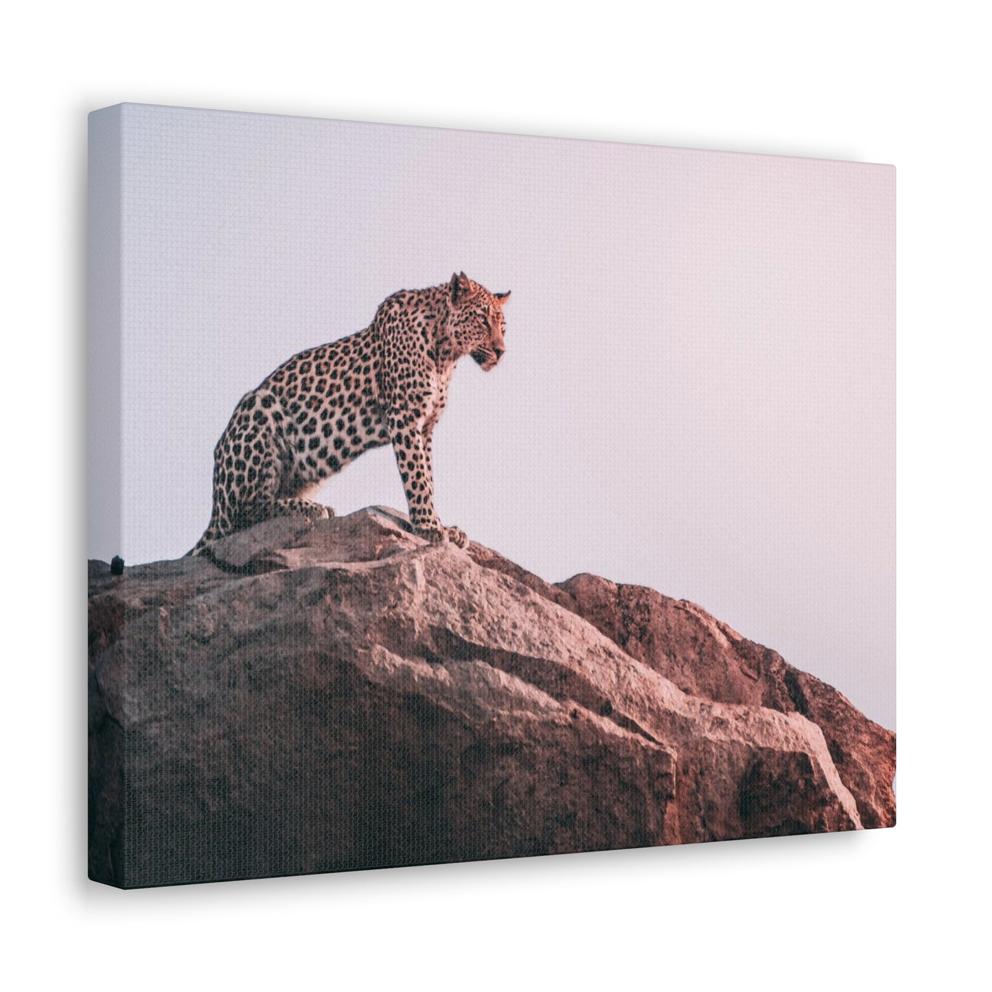 Alpha Cat Canvas Wall Art