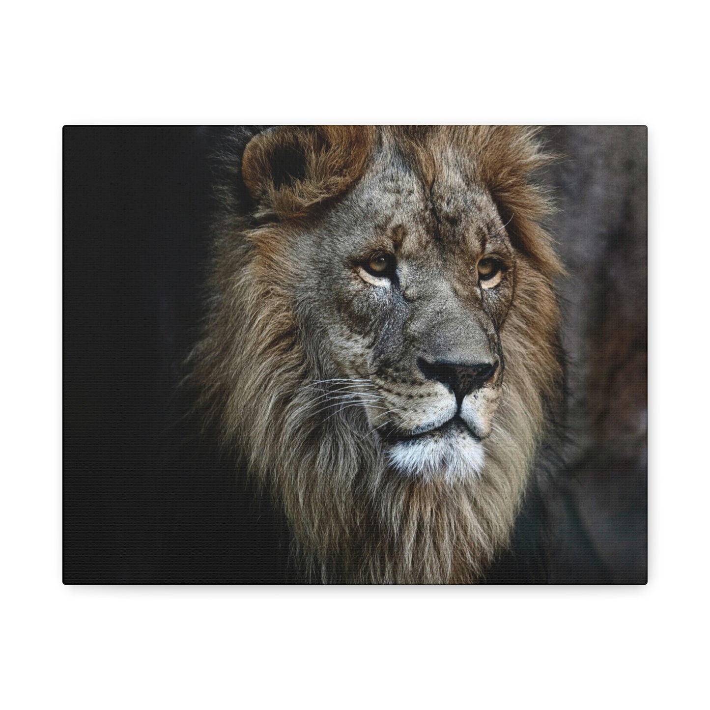 Lion Canvas Wall Art