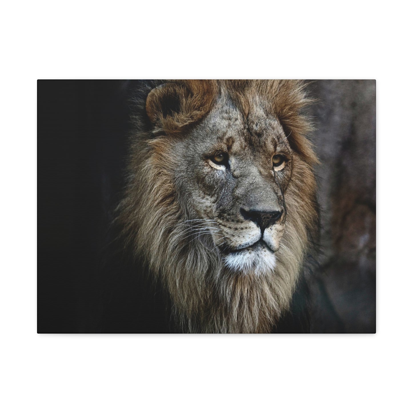 Lion Canvas Wall Art