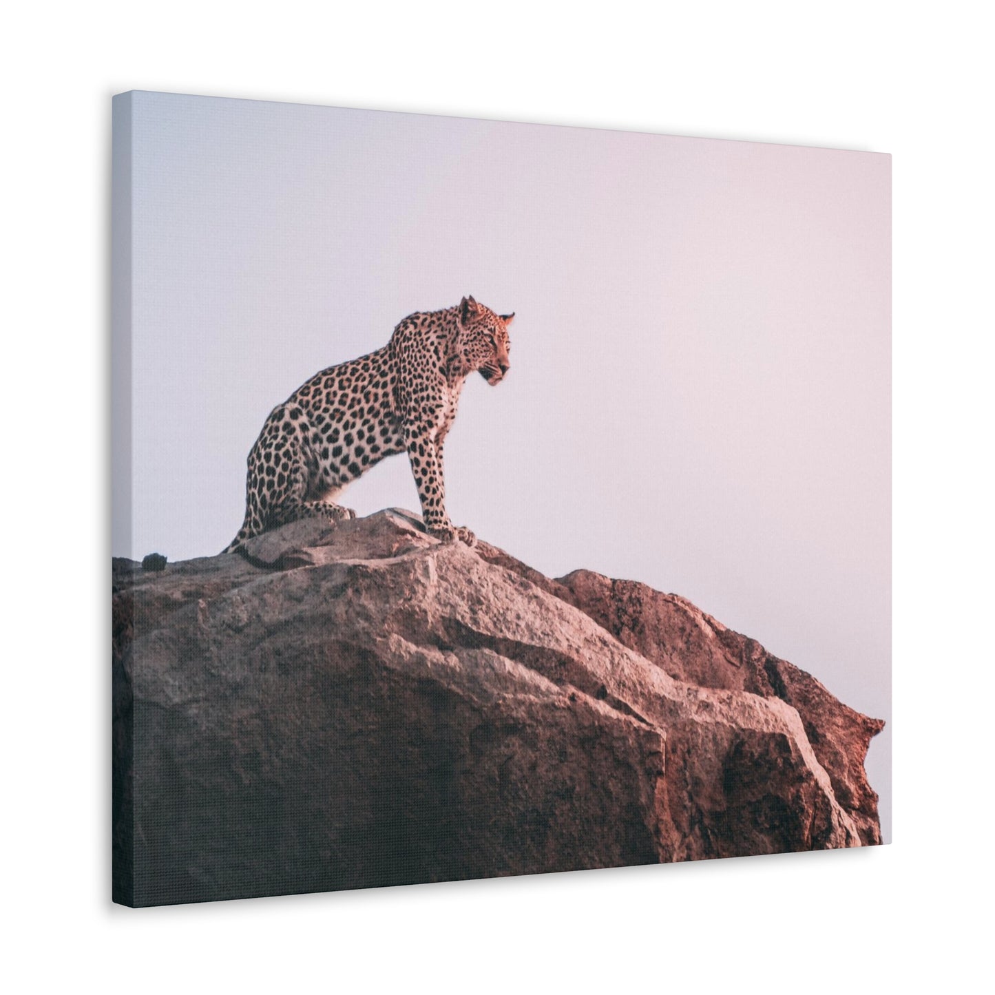 Alpha Cat Canvas Wall Art