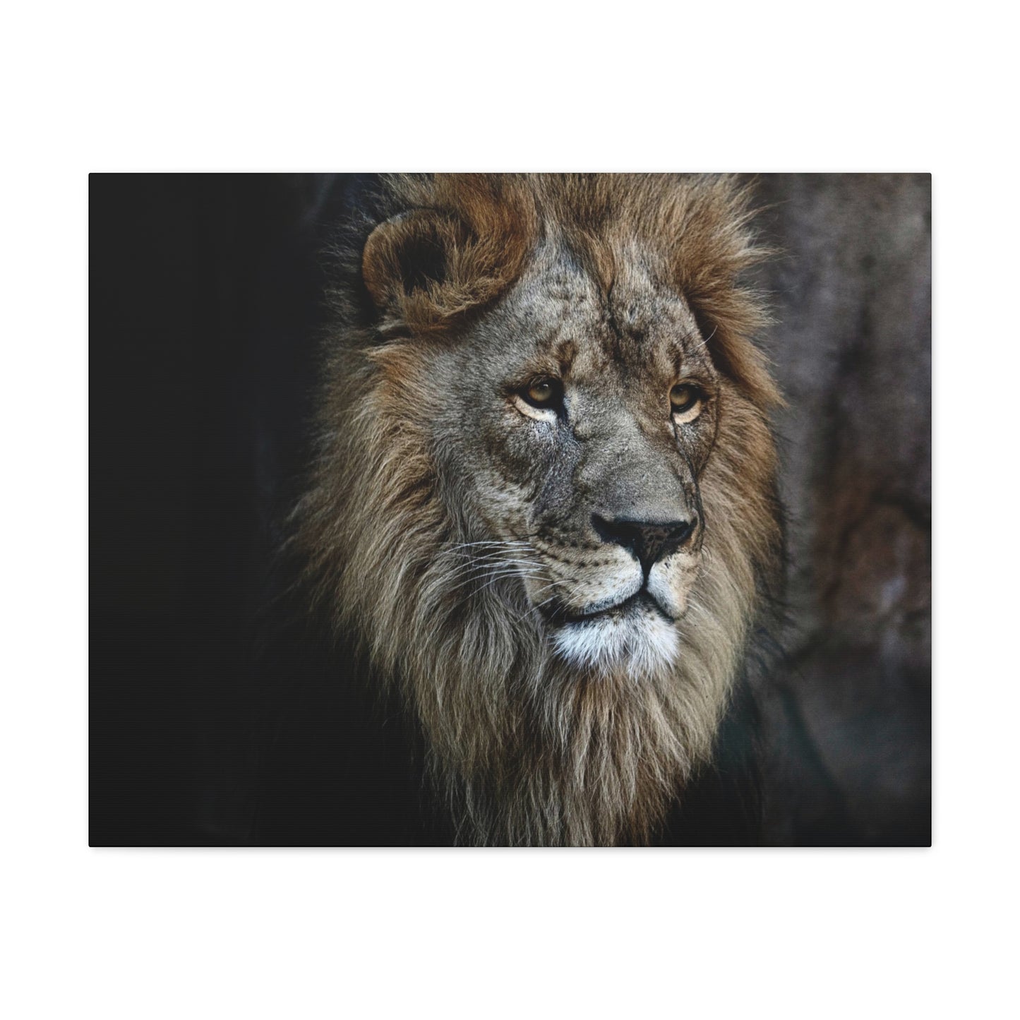 Lion Face Canvas Wall Art