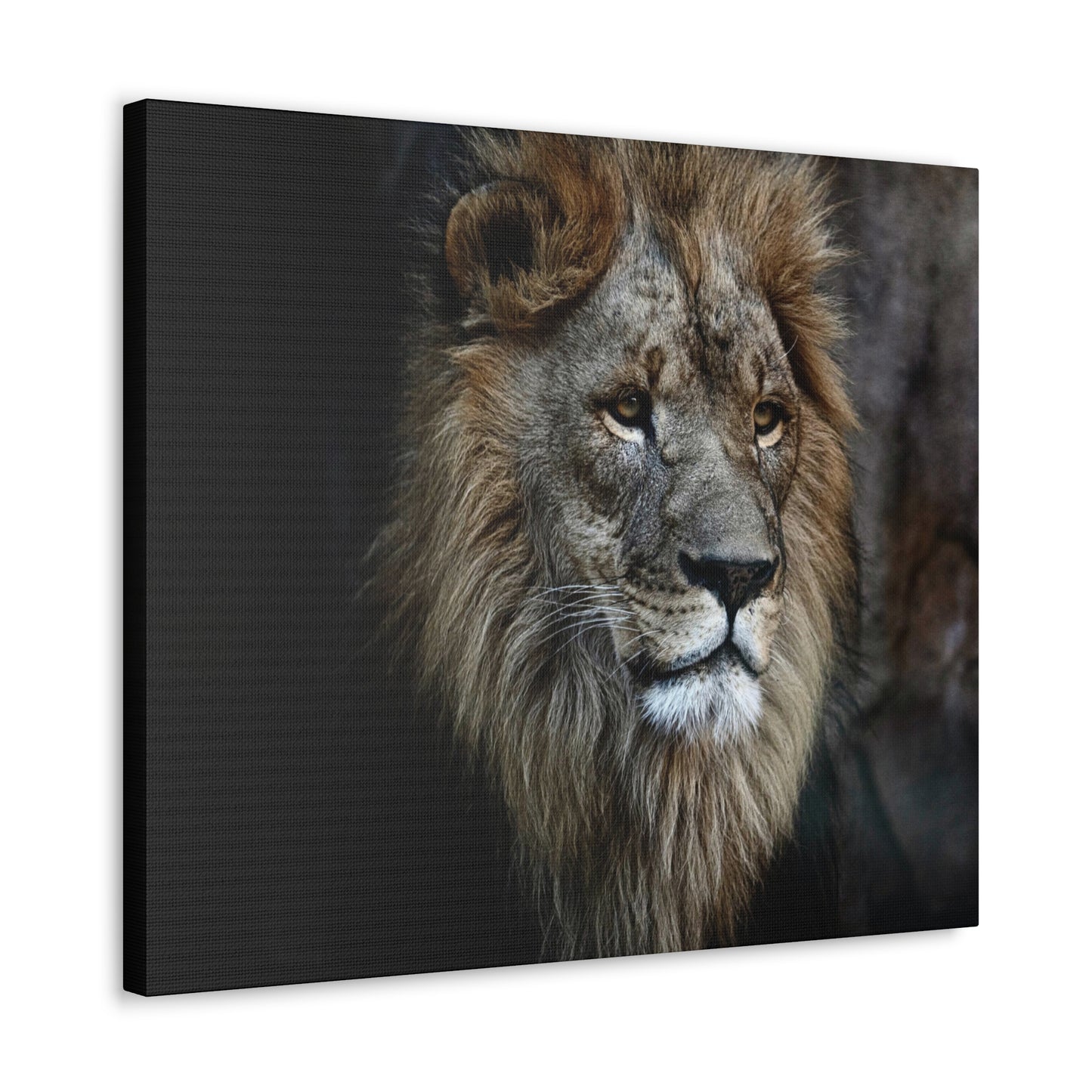 Lion Canvas Wall Art