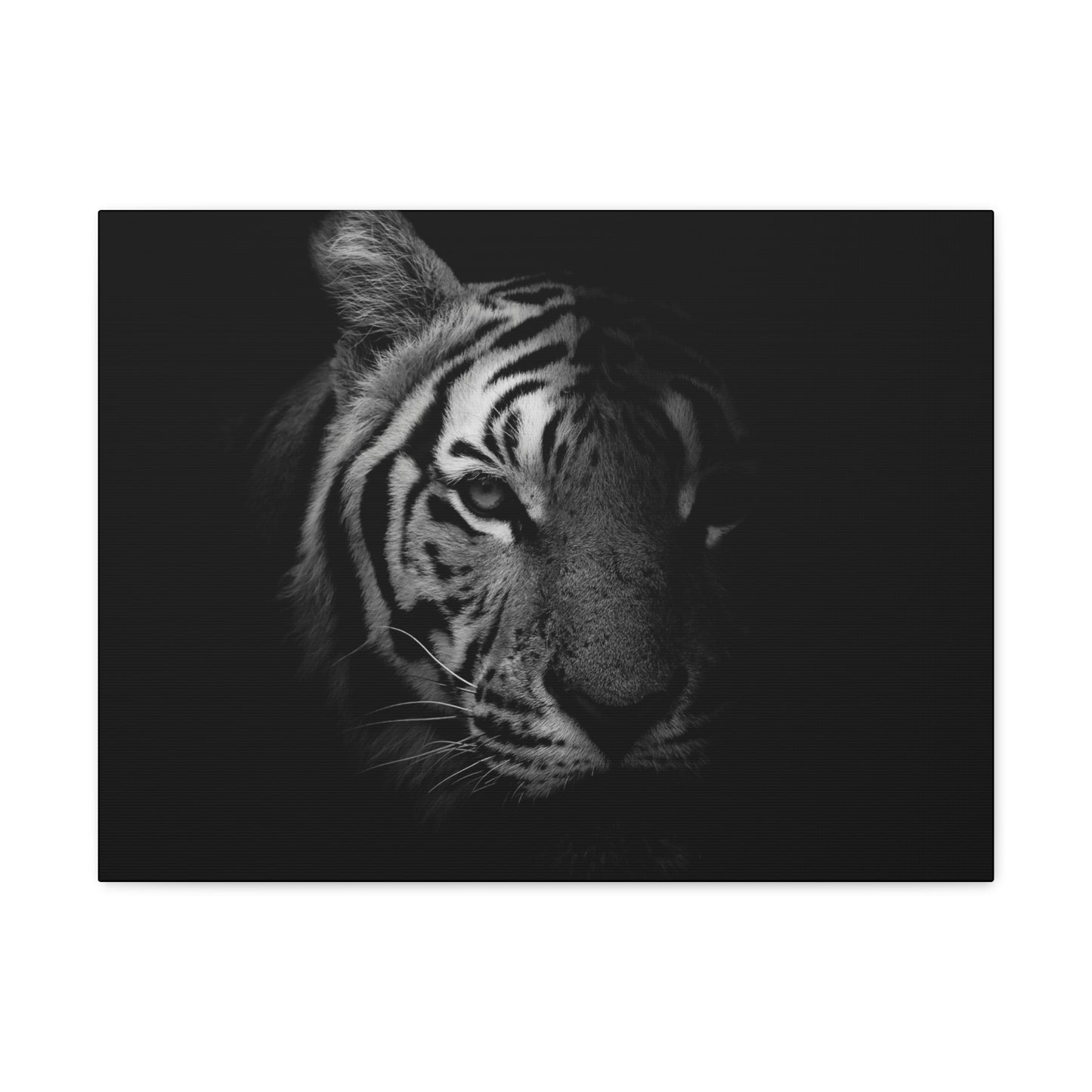 50 Stripes of Gray Tiger Canvas Wall Art