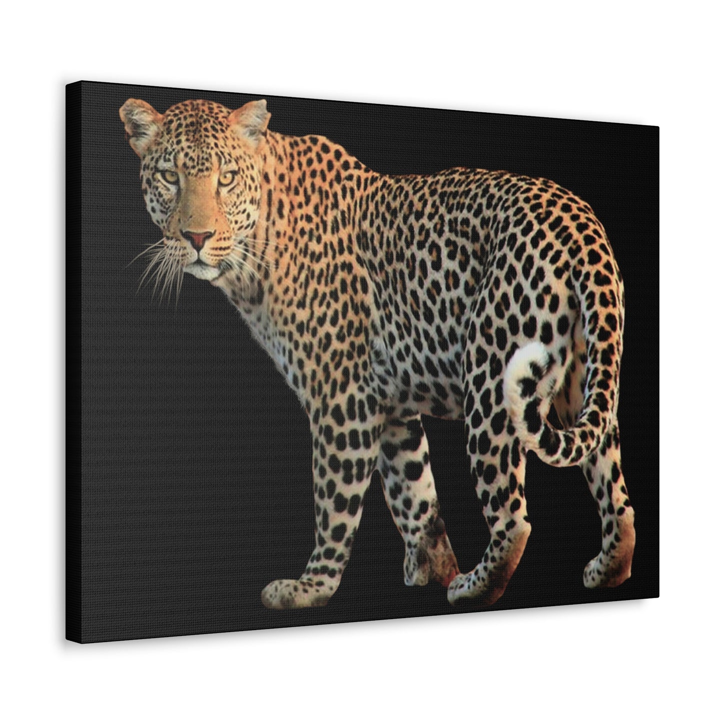 Leopard Canvas Wall Art