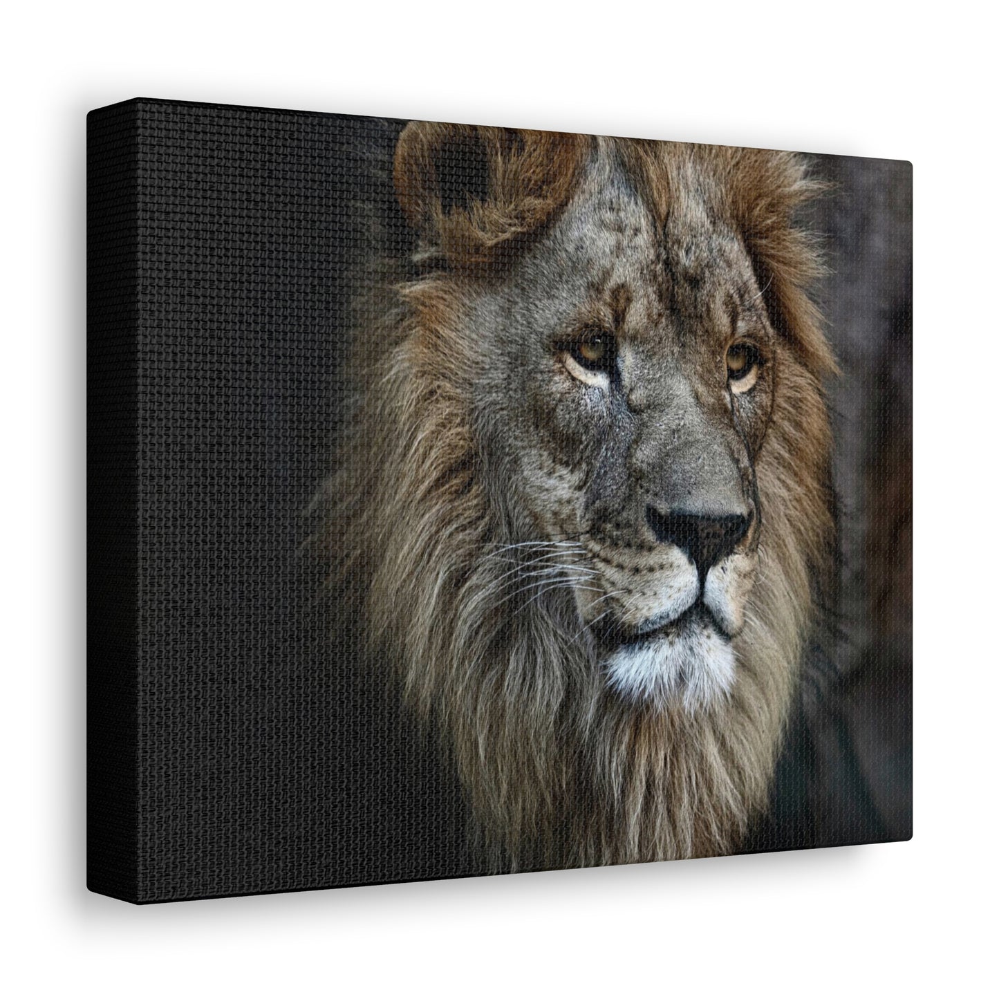 Lion Canvas Wall Art