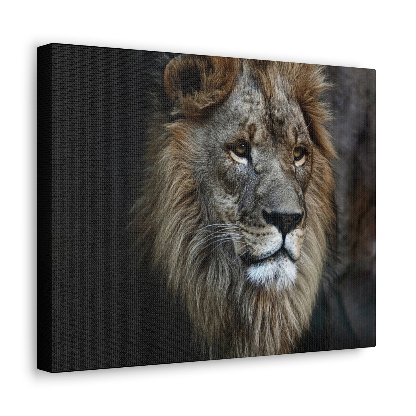 Lion Face Canvas Wall Art