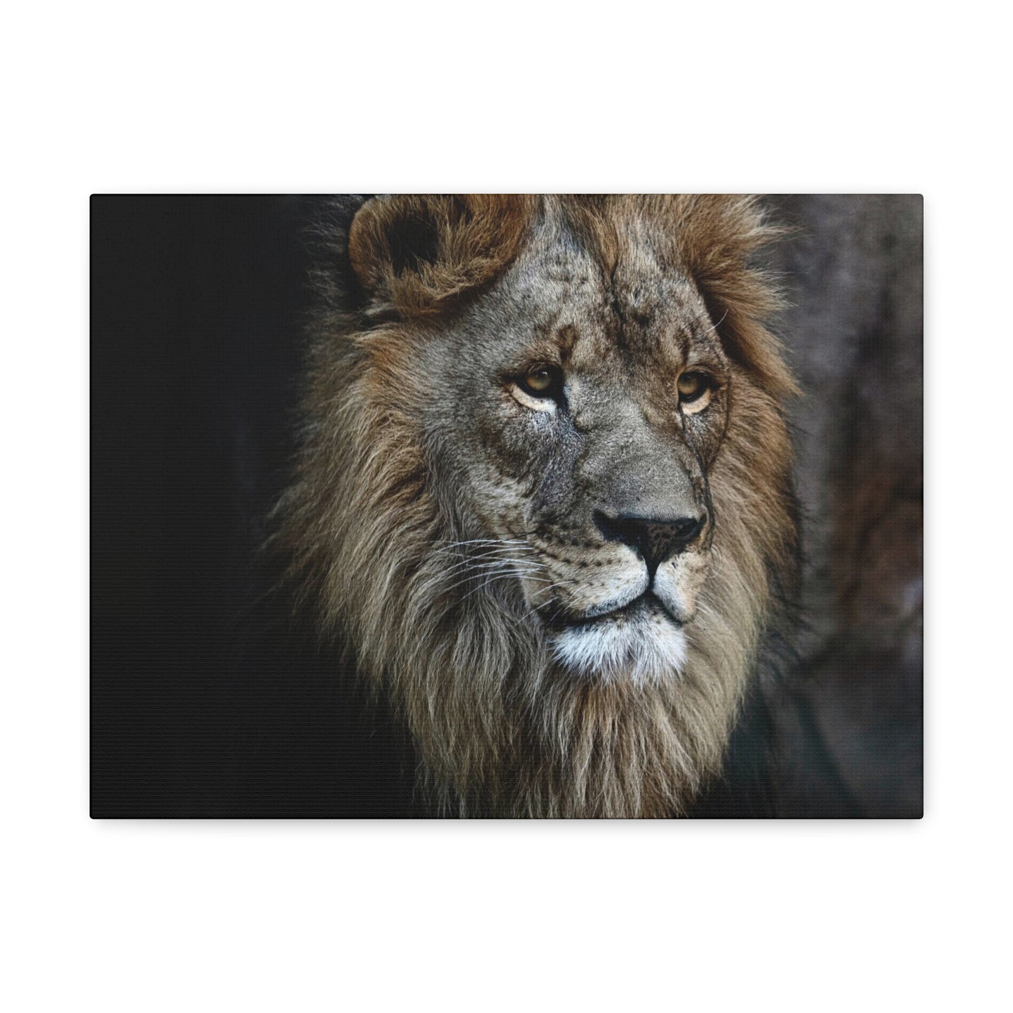 Lion Face Canvas Wall Art