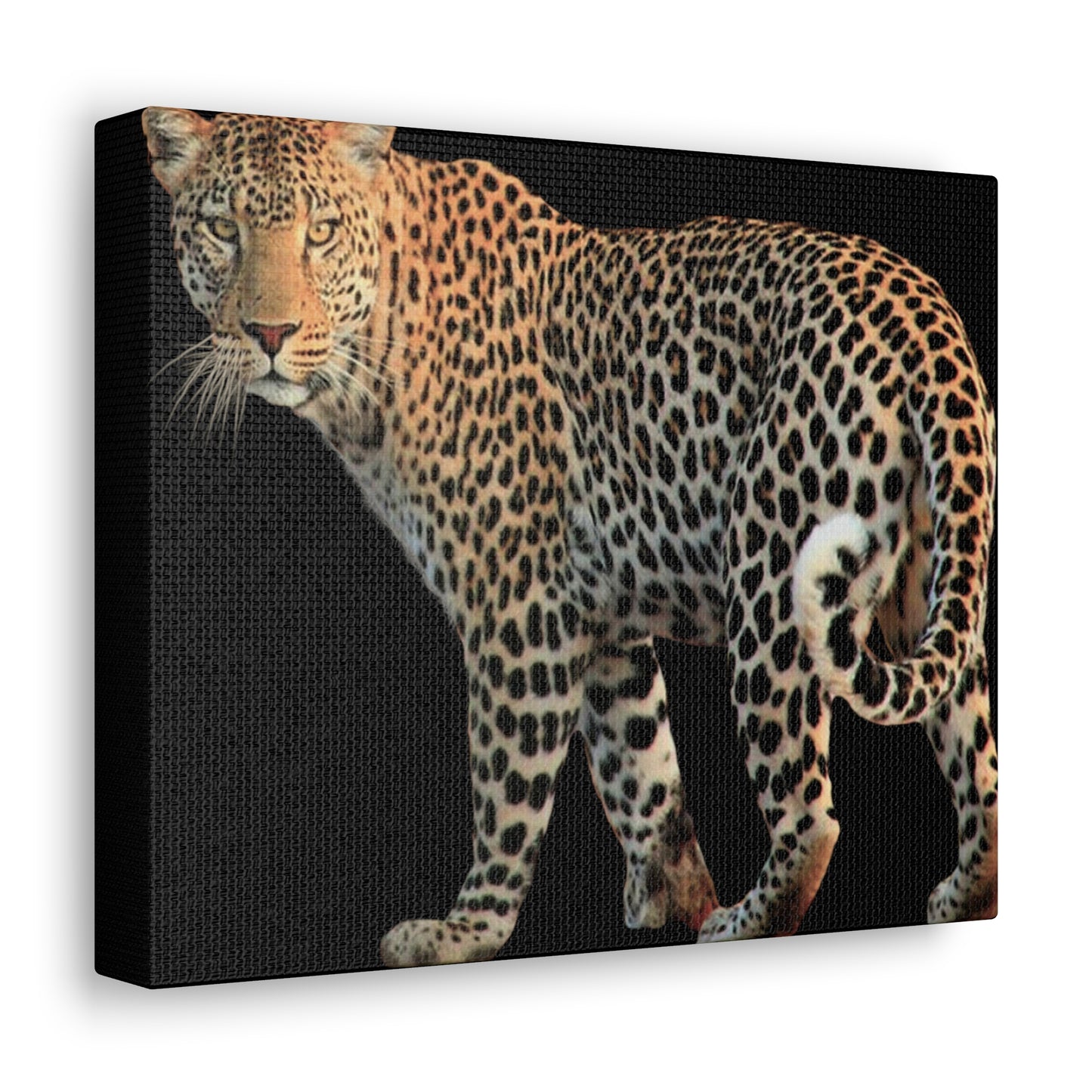 Leopard Canvas Wall Art