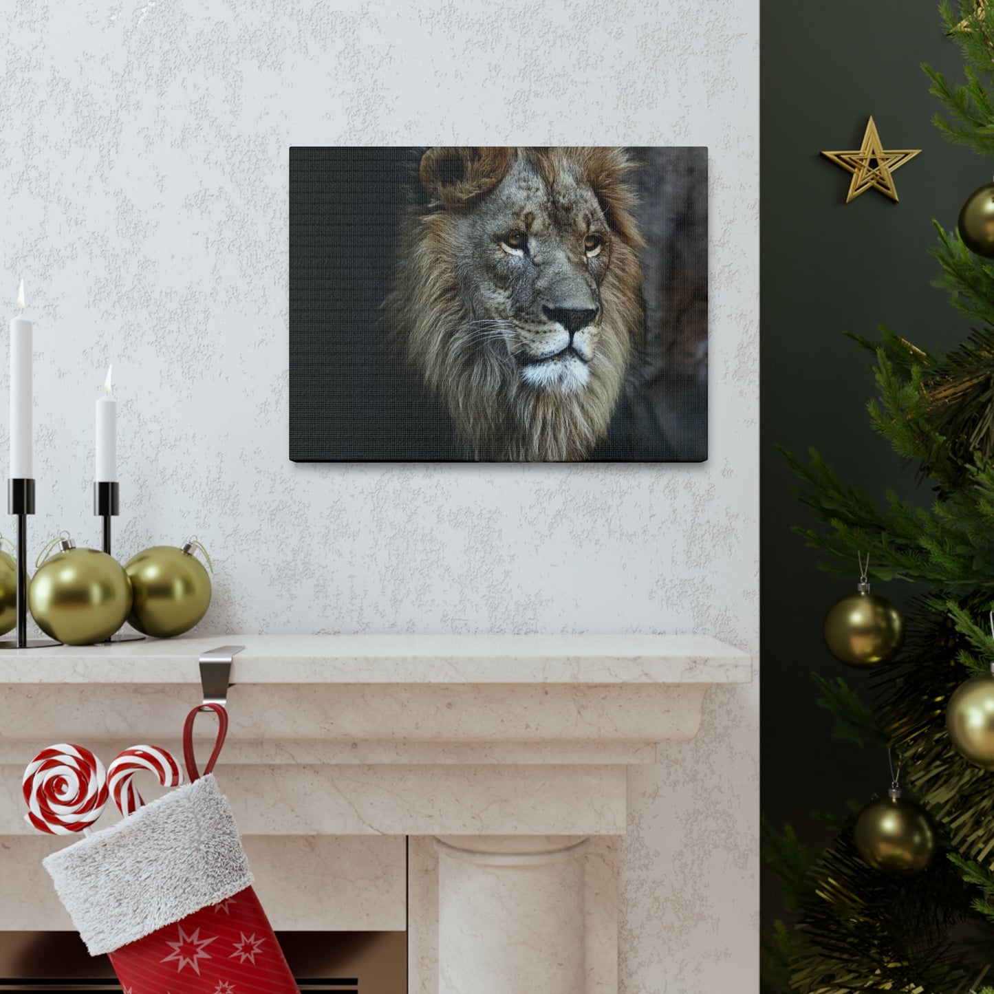 Lion Face Canvas Wall Art