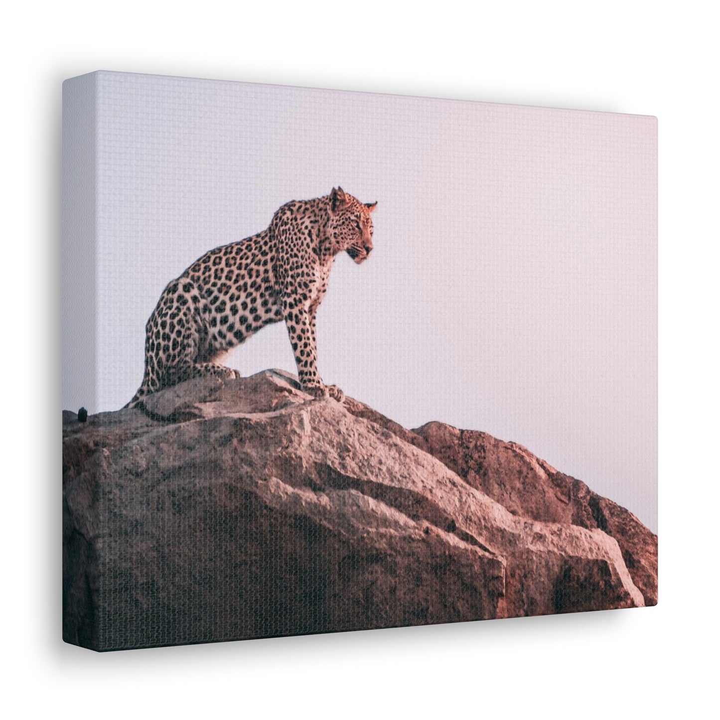 Alpha Cat Leopard Canvas Wall Art