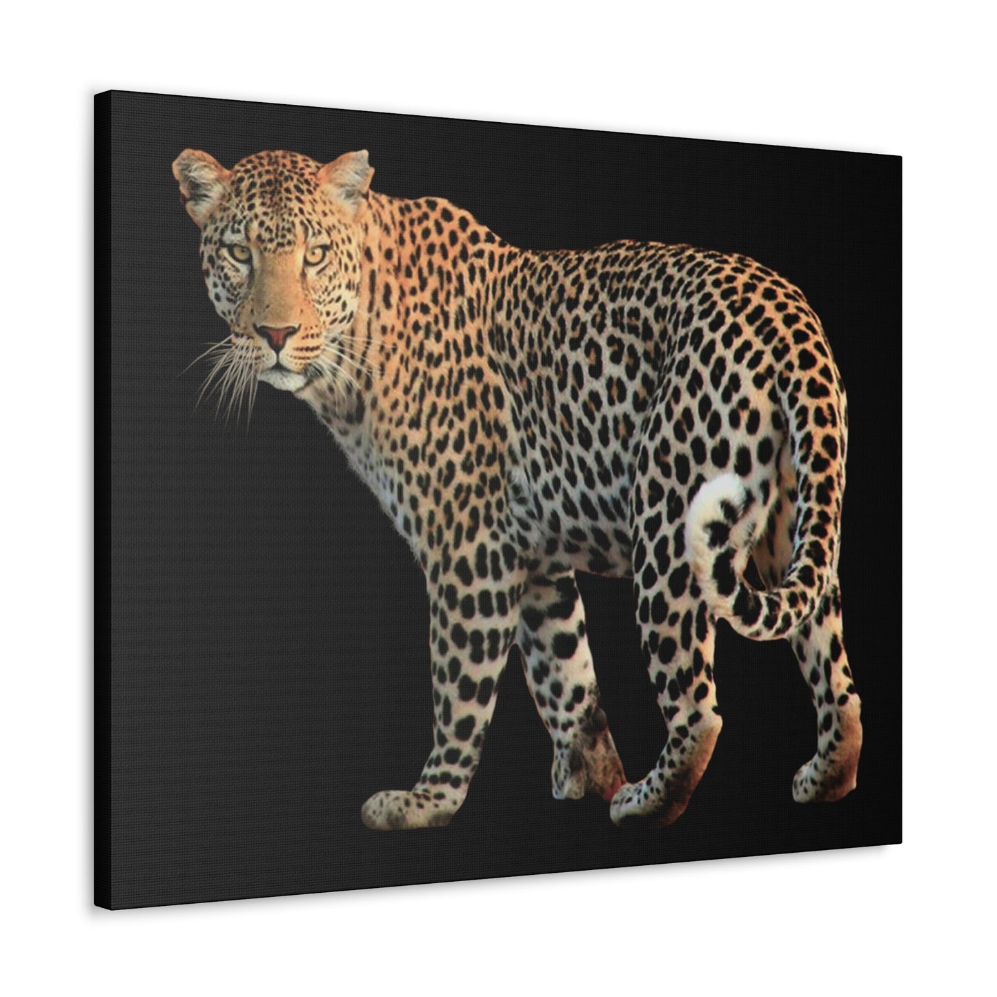 Leopard Canvas Wall Art