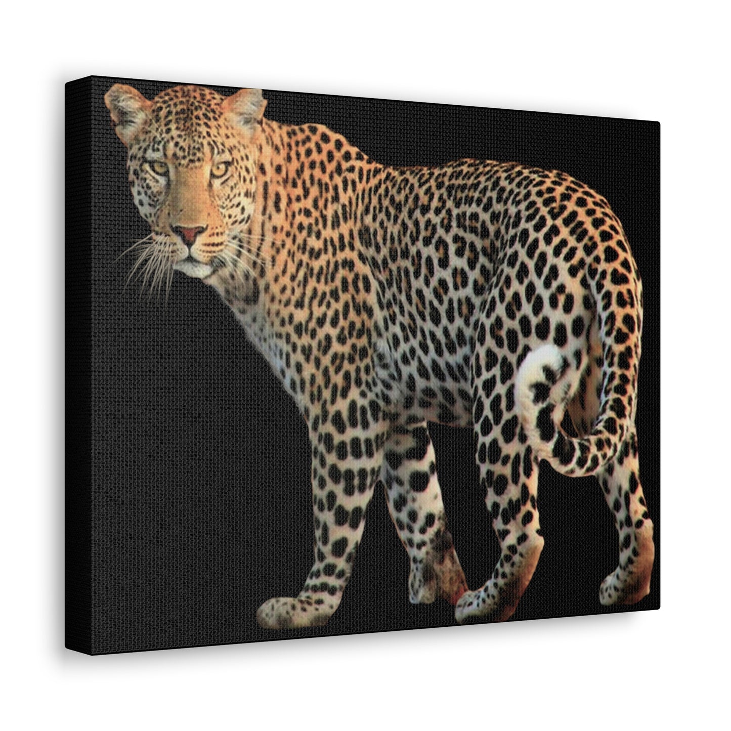 Leopard Canvas Wall Art