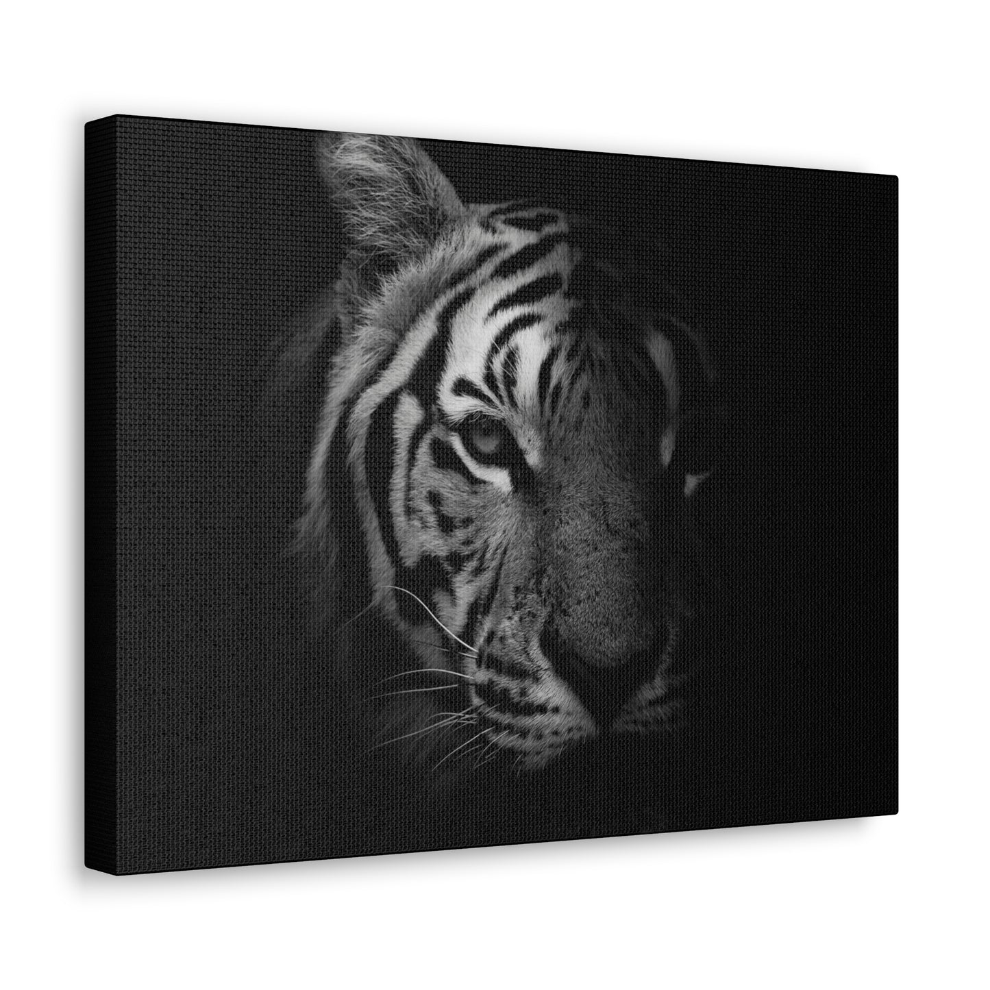 50 Stripes of Gray Tiger Canvas Wall Art