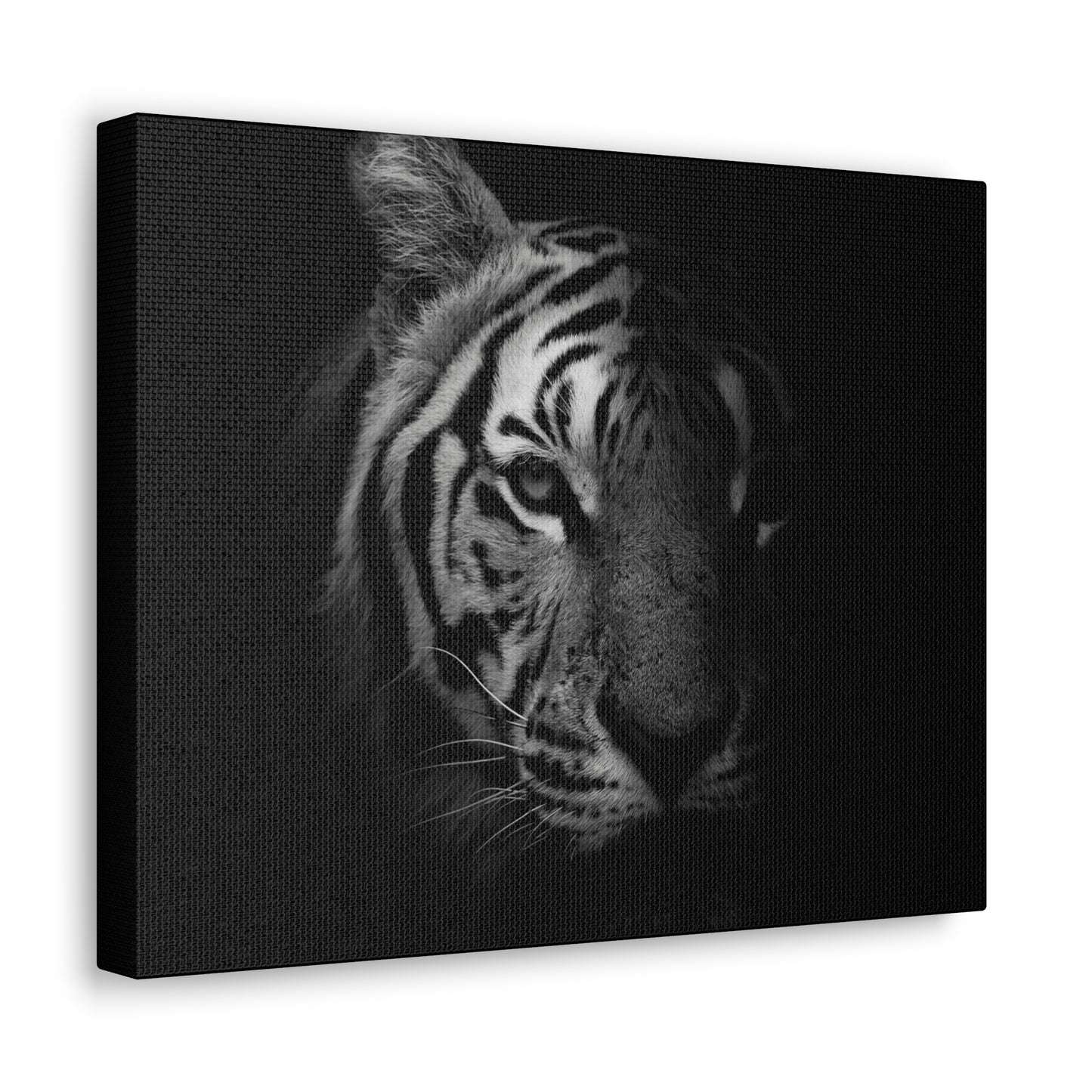 50 Stripes of Gray Tiger Canvas Wall Art