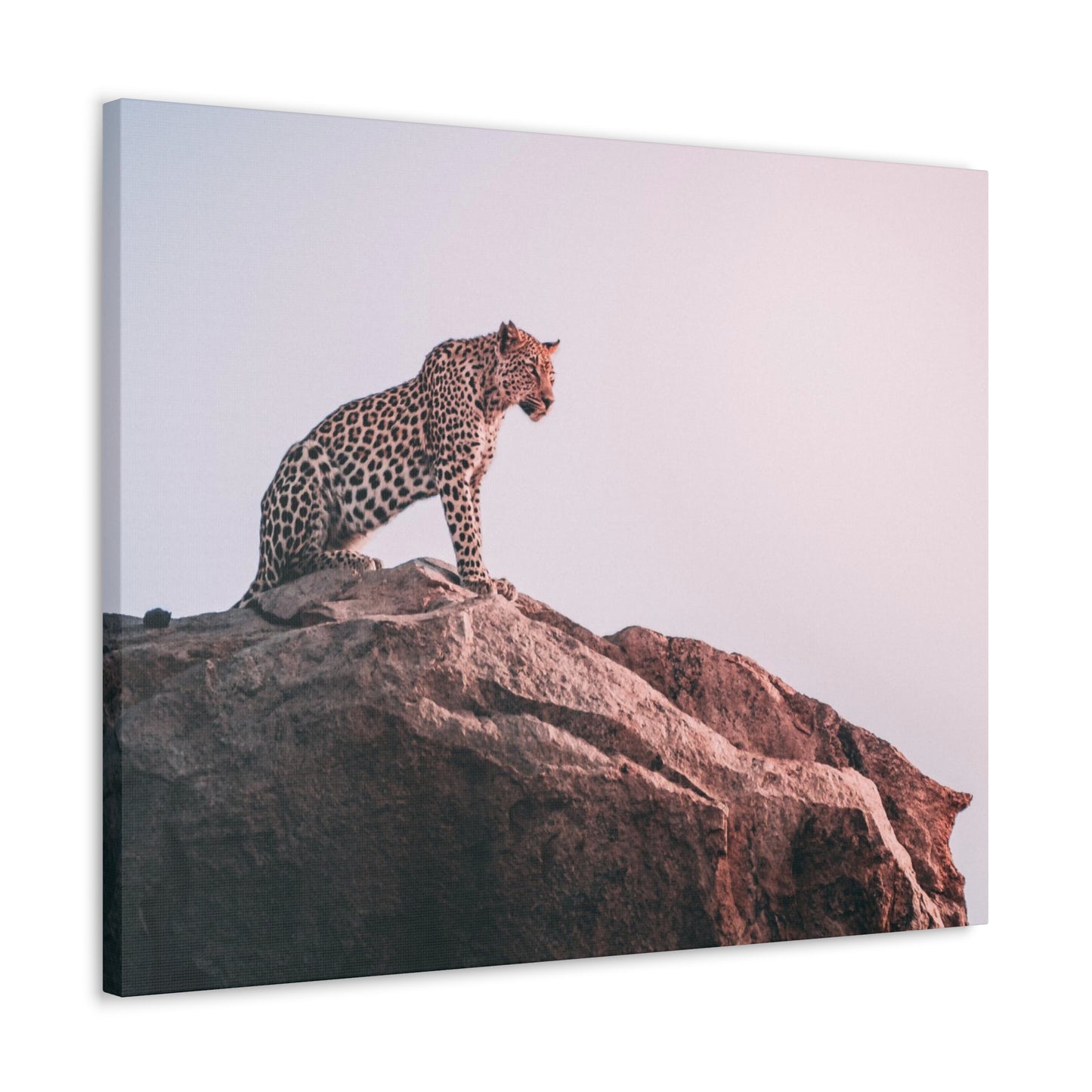 Alpha Cat Canvas Wall Art