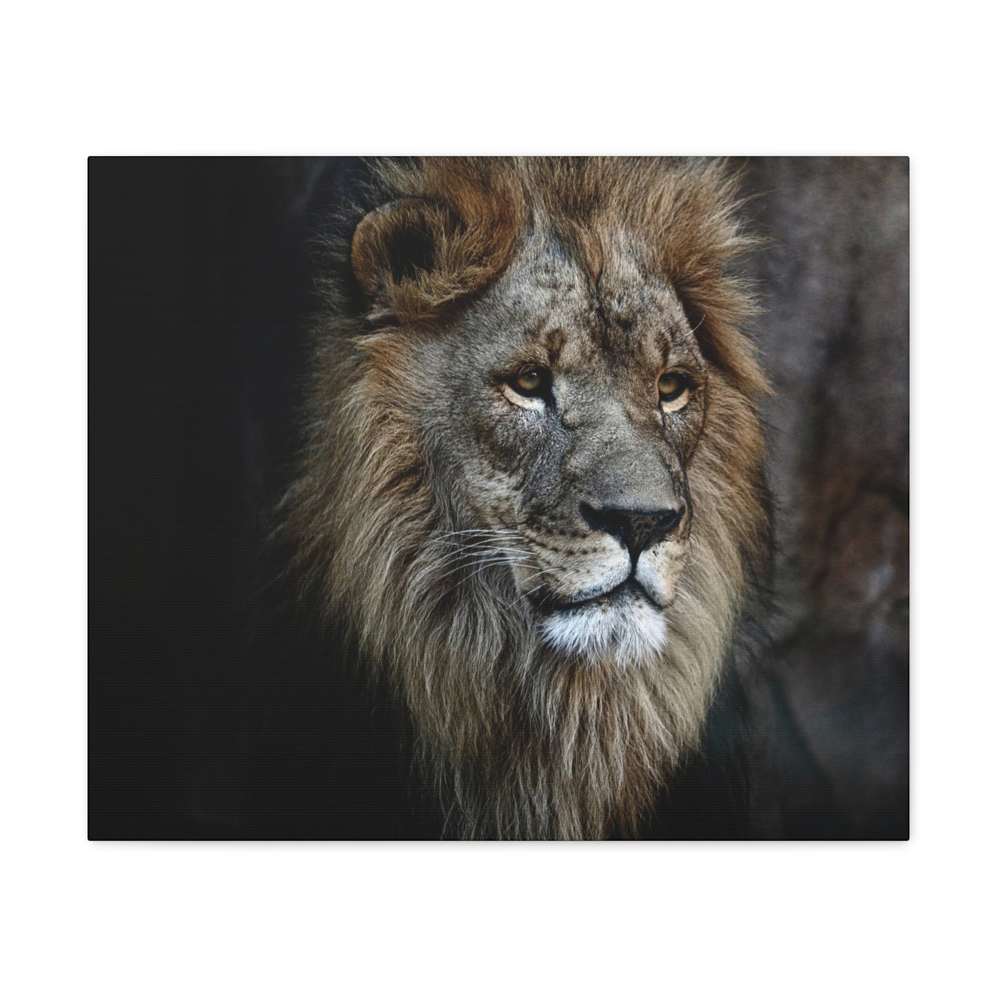 Lion Face Canvas Wall Art