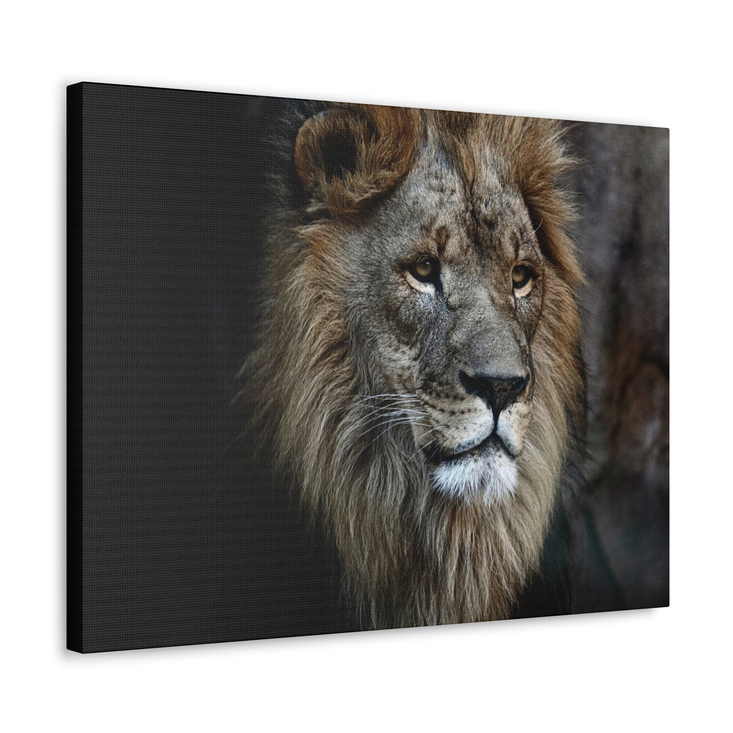 Lion Face Canvas Wall Art