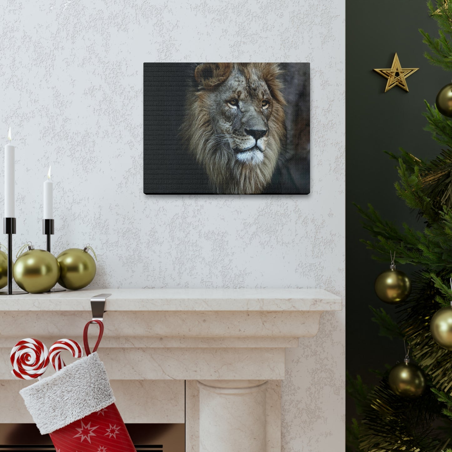 Lion Face Canvas Wall Art