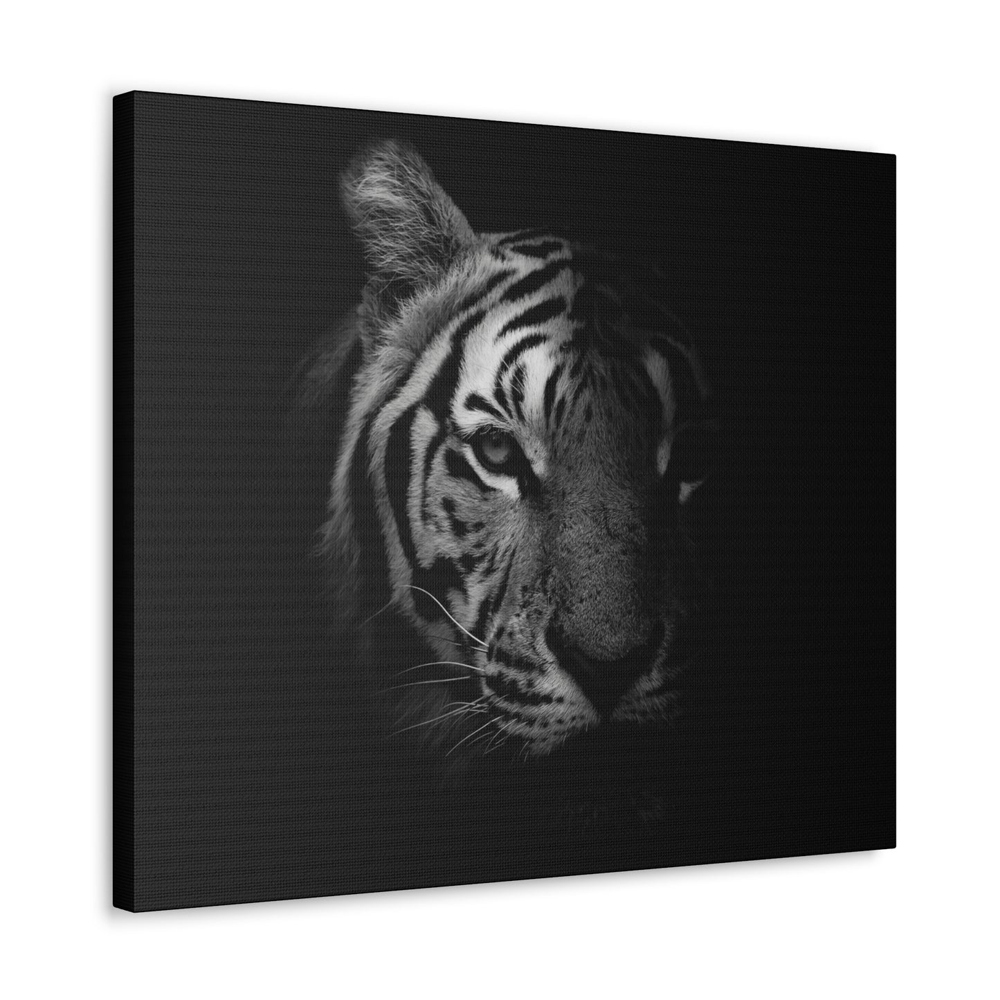 50 Stripes of Gray Tiger Canvas Wall Art