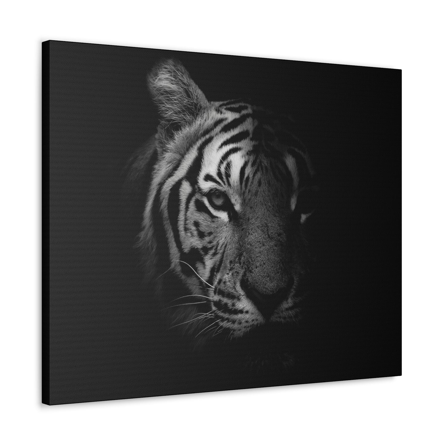 50 Stripes of Gray Tiger Canvas Wall Art