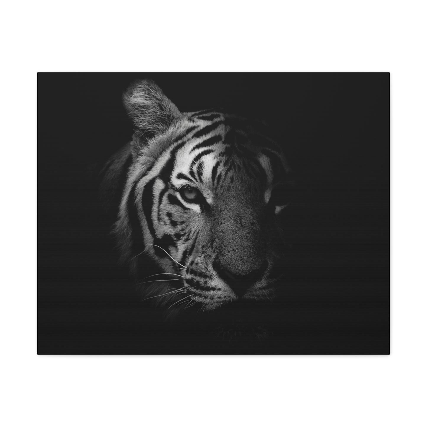 50 Stripes of Gray Tiger Canvas Wall Art