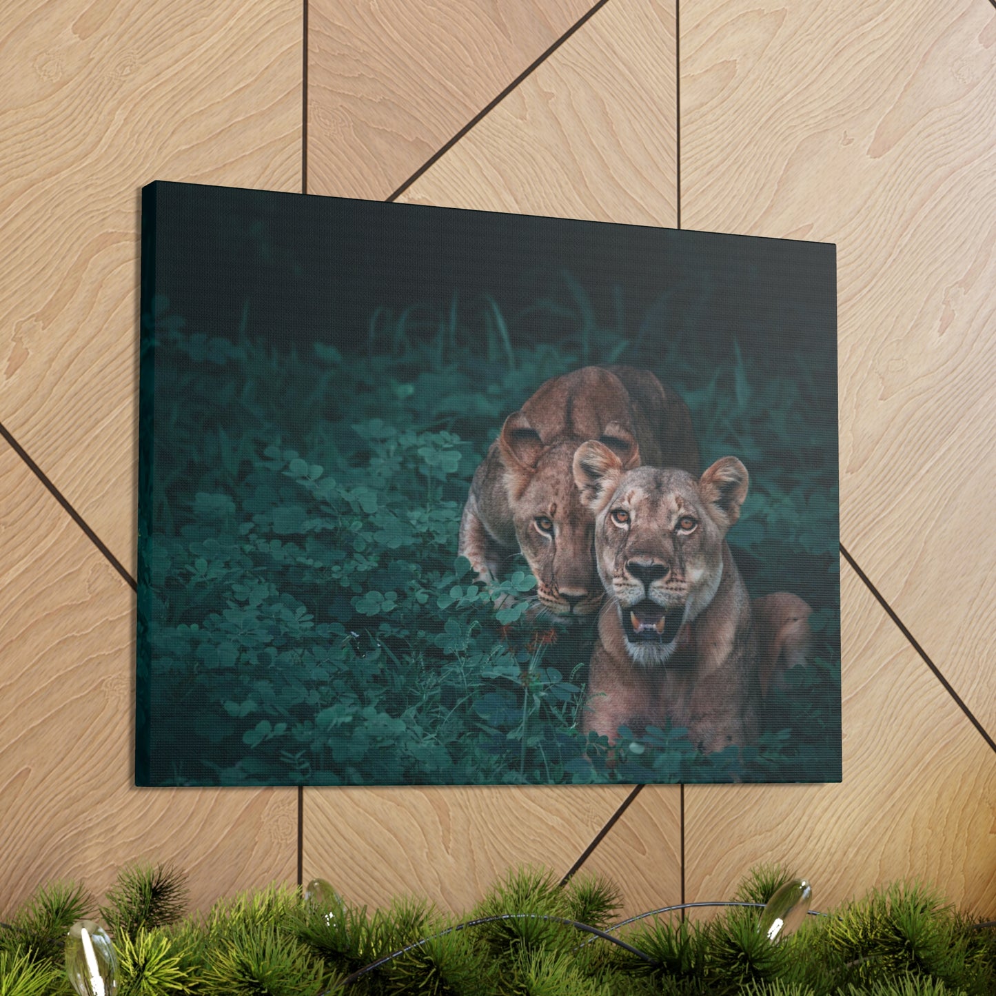 Lioness Pair Canvas Wall Art