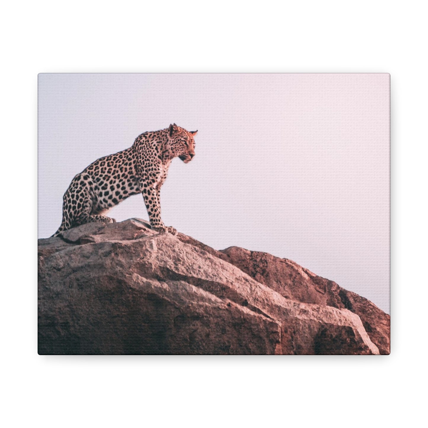 Alpha Cat Canvas Wall Art