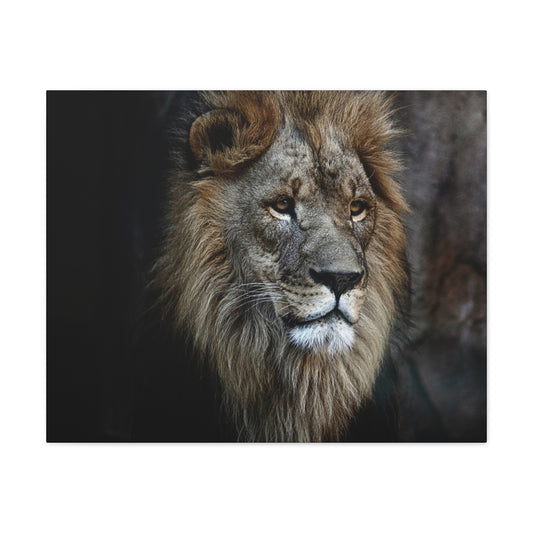 Lion Canvas Wall Art