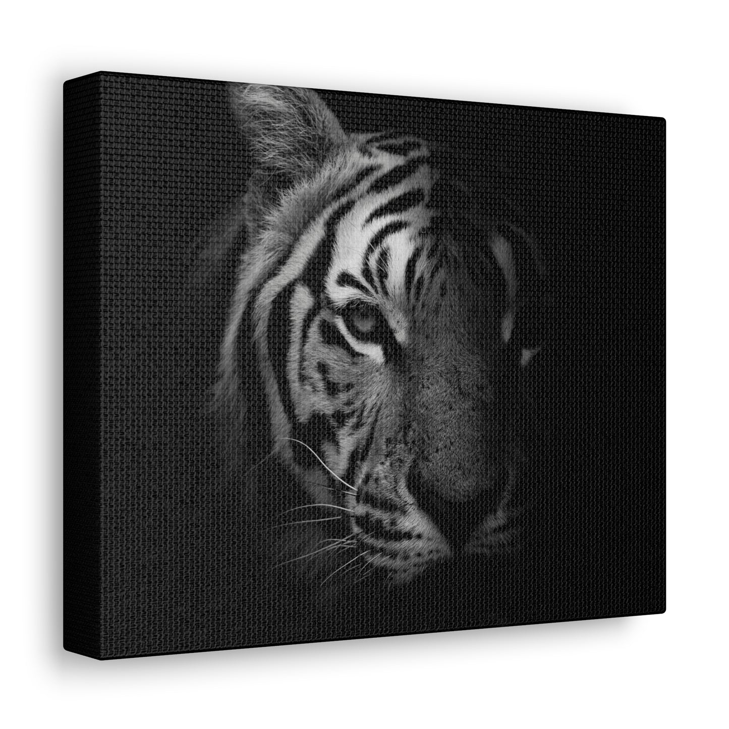 50 Stripes of Gray Tiger Canvas Wall Art