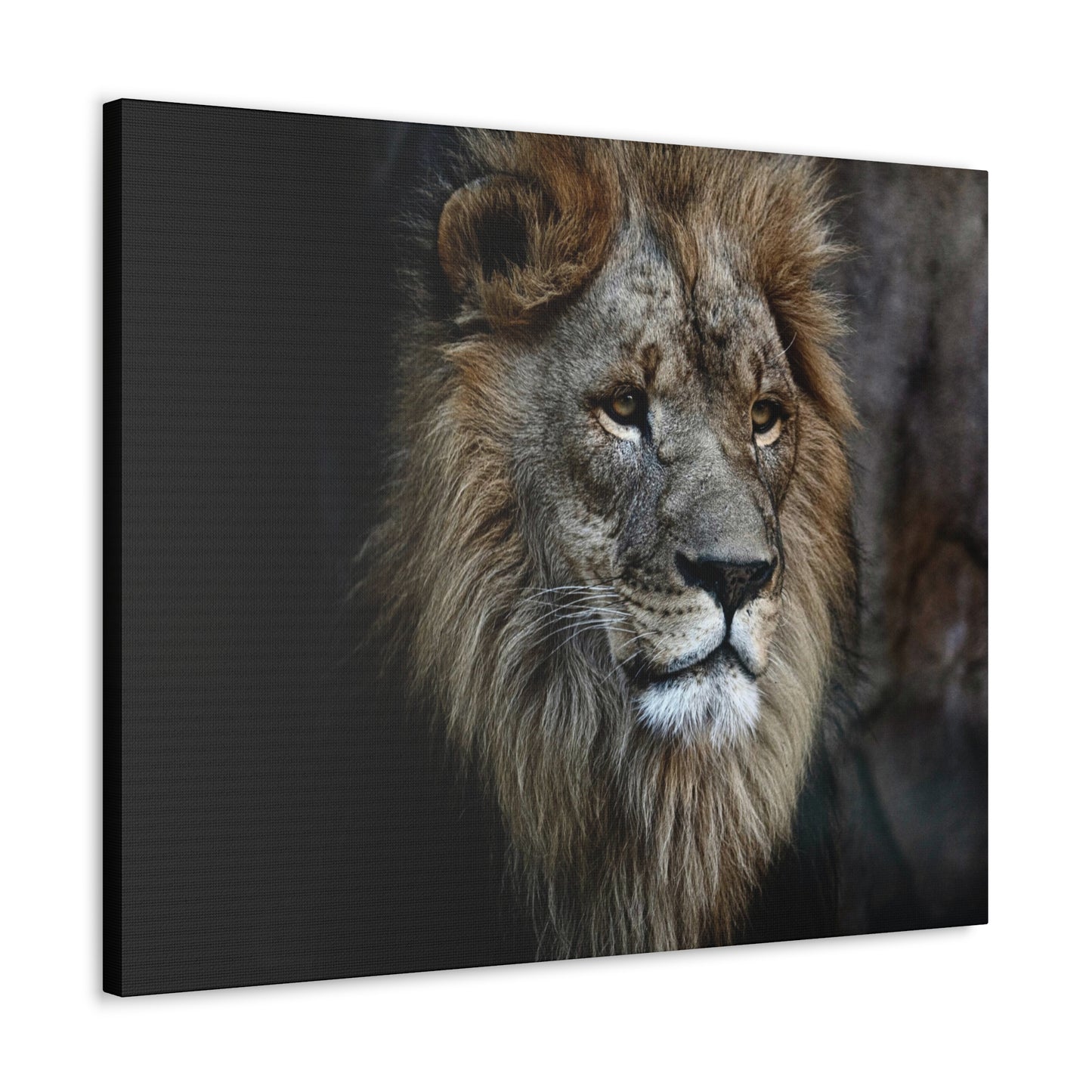 Lion Canvas Wall Art