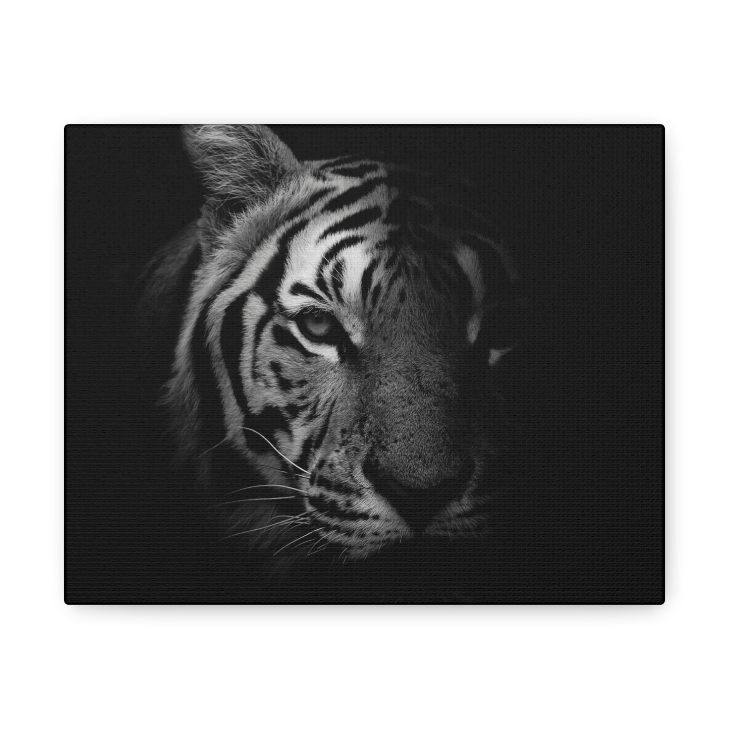 50 Stripes of Gray Tiger Canvas Wall Art