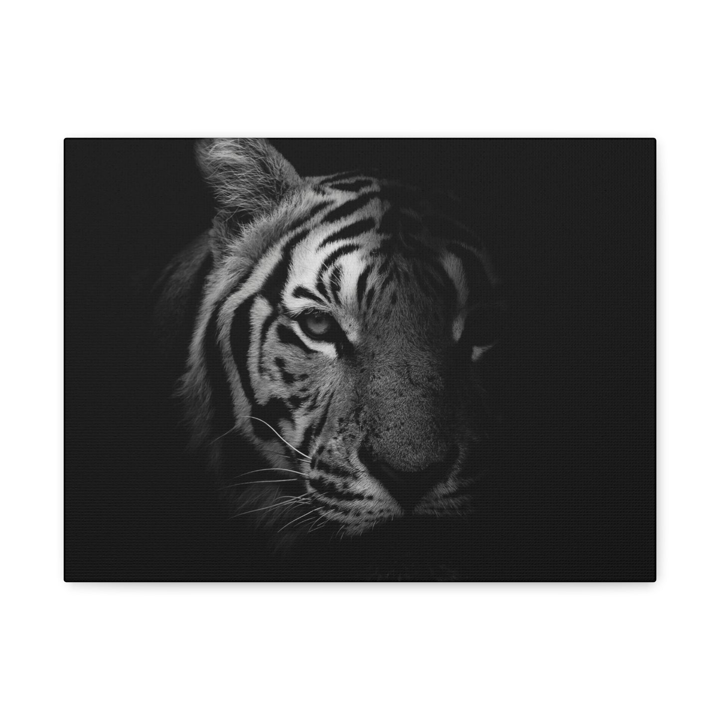 50 Stripes of Gray Tiger Canvas Wall Art