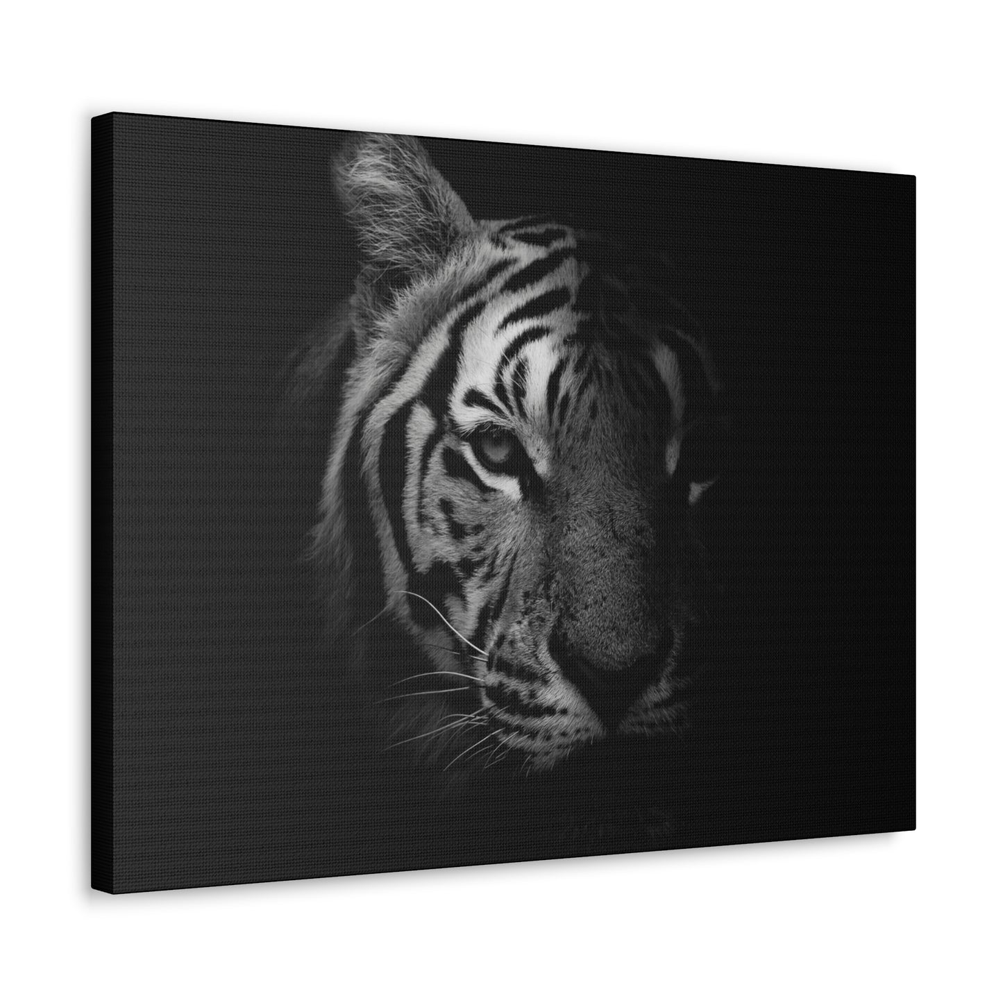 50 Stripes of Gray Tiger Canvas Wall Art