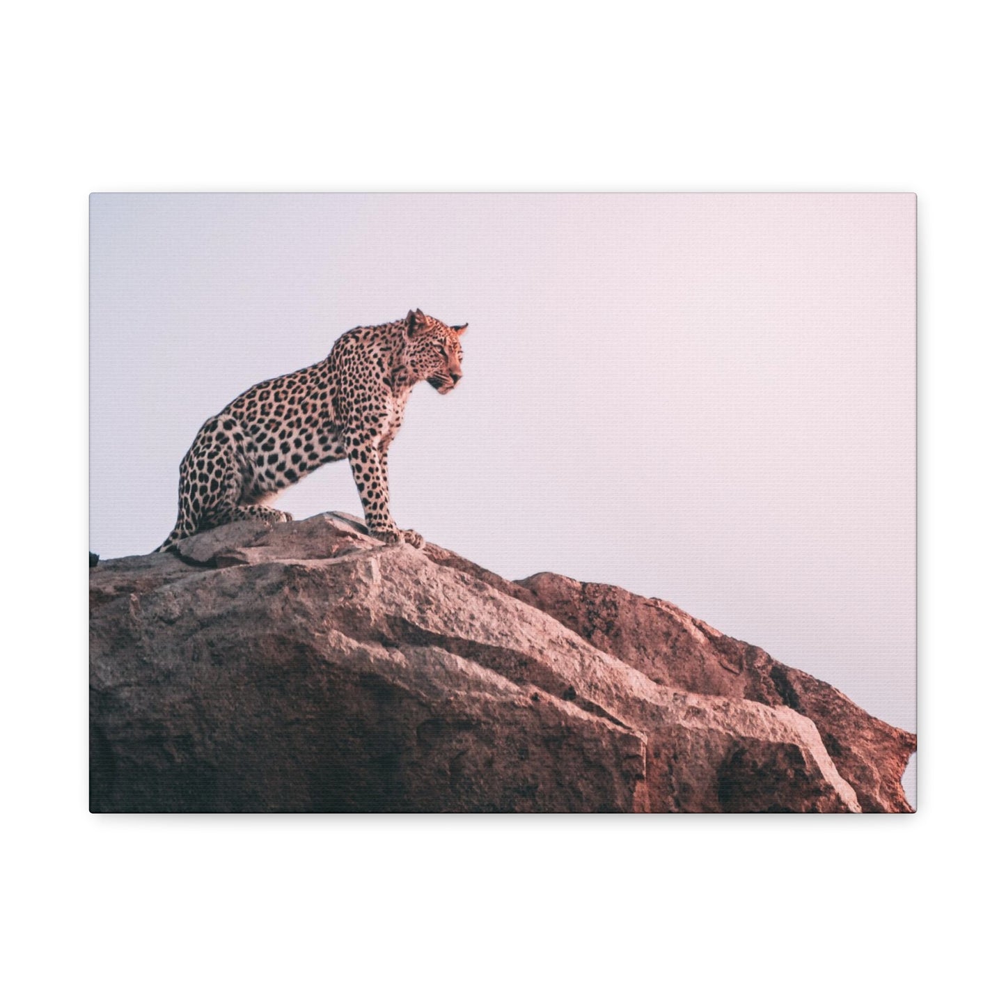 Alpha Cat Leopard Canvas Wall Art