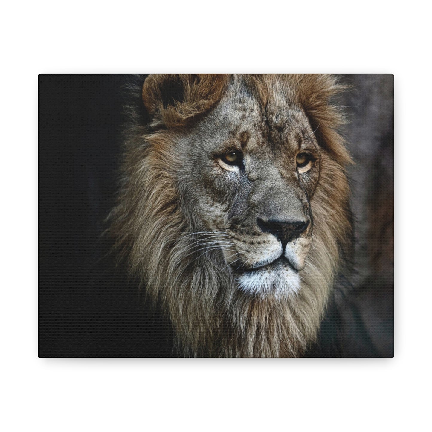 Lion Canvas Wall Art