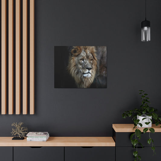 Lion Face Canvas Wall Art